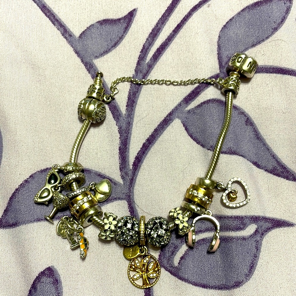 Pandora Bracelet